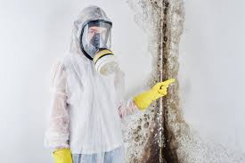 Why You Should Choose Our Mold Remediation Services in Strongsville, OH